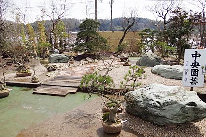 盆栽で作る庭をイメージした展示