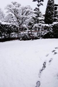 7日朝の三条市林町付近の雪景色