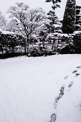 7日朝の三条市林町付近の雪景色