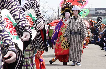 15日行われた第70回分水おいらん道中、大河津分水桜並木を進む