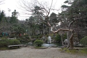 藤井大輔＆芳輔の鉄道コラム「鐵道双見」 信濃川西岸の越後鐵道（越後線）敷設を実現するために越後鐵道会社が設立、さらに参宮線（弥彦線）を敷設し、弥彦公園の整備は弥彦観光の礎に