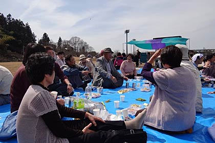 三条市総合運動公園で花見する福島県南相馬市から訪れた「小高区三条会」