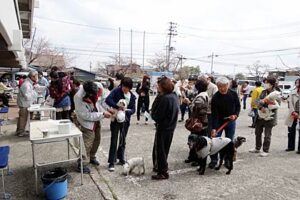 18日午後から三条市厚生福祉会館で行われた狂犬病の予防注射