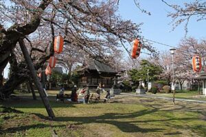 春本番のぽかぽか陽気で県央地域のサクラが開花を急ぎ、花はまだでも花見は待てない