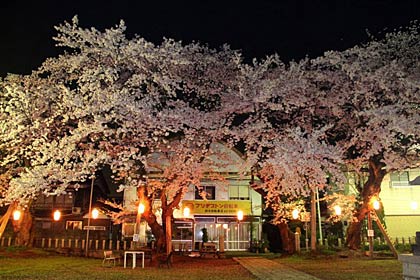 金山神社のちょうちん