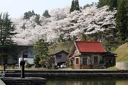 国登録有形文化財に登録されて初めて花見シーズンを迎えた三条市水道局大崎浄水場