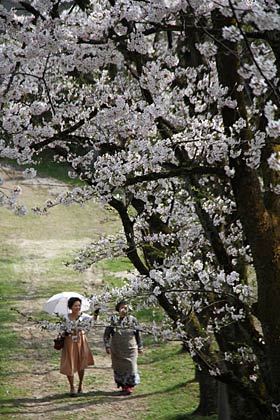 三条市水道局大崎浄水場では日傘を差した人も