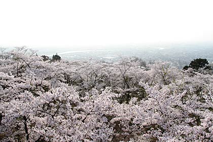 大崎山山頂の大崎山公園の展望台から市街地を見下ろす