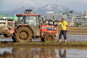 三条市上須頃地内の田んぼで ?