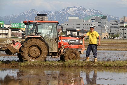 三条市上須頃地内の田んぼで ?