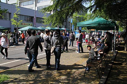 市役所通りとは思えないお祭りムード