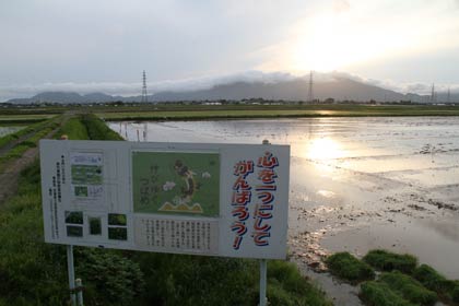 田んぼアートの田植えを行う燕市吉田ふれあい広場前の田んぼで