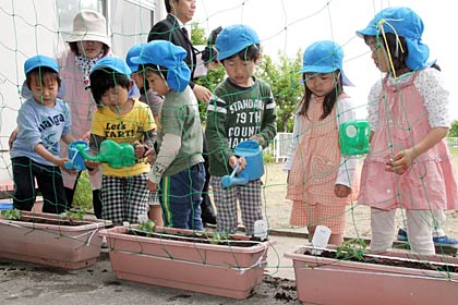 じょうろで水やりして作業完了