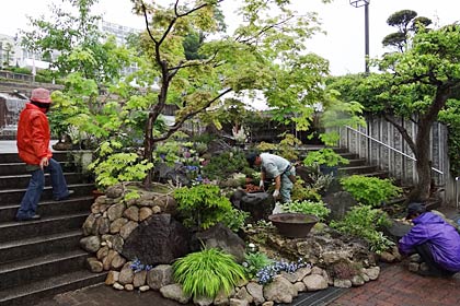 26、27の2日間、春の保内公園まつりが開かれる保内公園、2日間限定でお目見えする石とモミジをメーンにしたロックガーデン