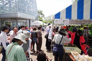 26、27日と三条市保内公園で開かれている春の保内公園まつり