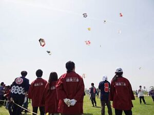 次々と三条六角巻凧が舞い上がる初日2日の三条凧合戦