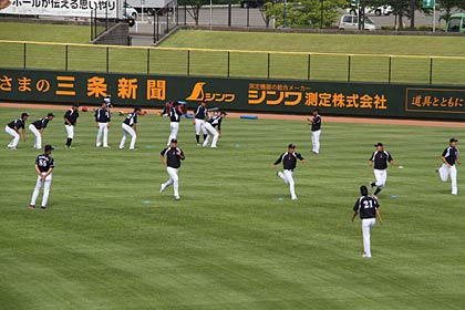  青々と茂る外野の芝生でダッシュやストレッチを行う選手