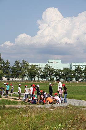  14日午後、近くの田んぼで総合学習を行う燕北小学校4年生