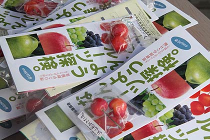 キャラバン隊が配布したサクランボ2粒を付けた観光パンフレット