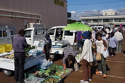  23日、JAにいがた南蒲本店職員駐車場で初めて開かれた「なんかん育ち　軽トラ市場」