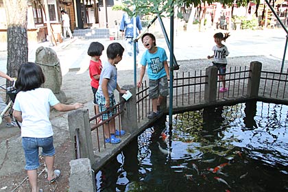 29日夕方、燕市・戸隠神社境内で遊ぶ子どもたち