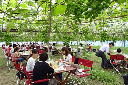 緑のブドウ棚の下で朝食