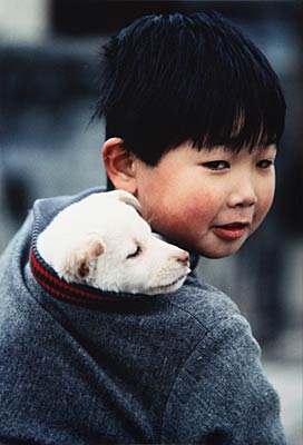  田中未来さんの「犬と少年」