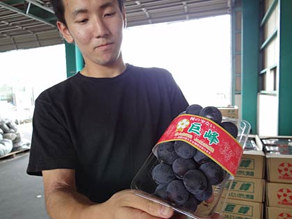 ブドウ「巨峰」を初出荷した大島選果場