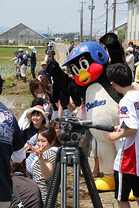 2012年5月26日に燕市東太田、JA越後中央燕支店前の農業体験田「スワローズ・ライスファーム」で行われた田植えに参加したつば九郎
