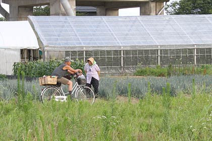  7日の三条市内、涼しさもあってついつい話し込む