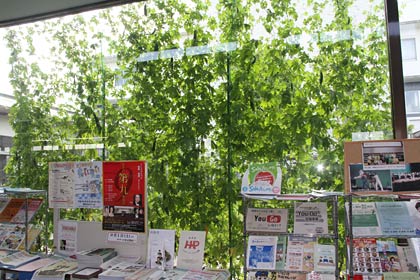 吉田庁舎の正面玄関を入るとどんと視界に入るグリーンカーテンは目にも涼しげ