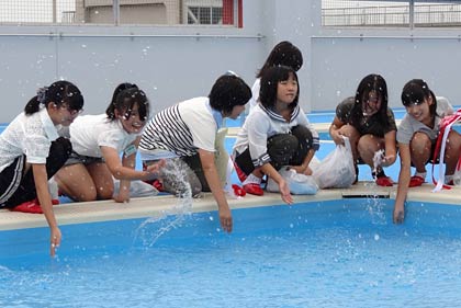 屋上プールで