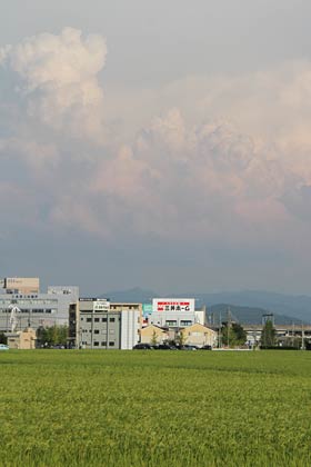 22日の午後、三条市上須頃地内から南の空に入道雲