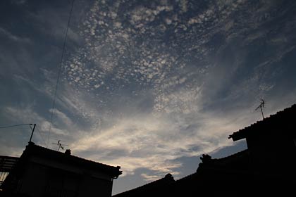  一方でうろこ雲や絹雲が