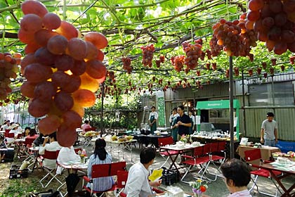 15日に新潟市西蒲区、岡村葡萄園を会場に開かれた「燕三条『畑の朝カフェ』」