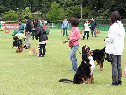昨年の県央地区動物フェスティバルのようす