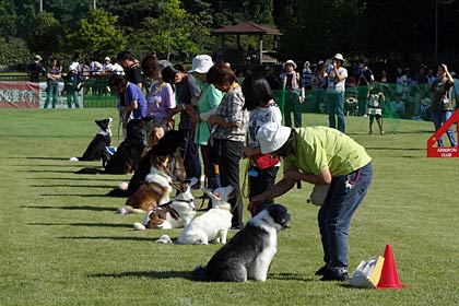  22日に三条市総合運動公園で開かれた第28回県央地区動物フェスティバル