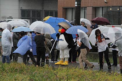 雨のなかでもつば九郎は大人気