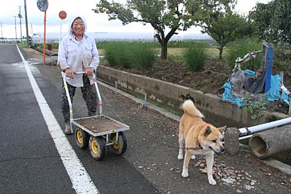 24日夕方の三条市上須頃地内、処分されそうになったところを引き受けて10年以上になるイヌと一緒に畑仕事を終わって家へ帰る