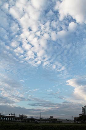 29日午後、三条市内から見上げるひつじ雲
