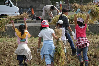 「とったど～！」的に束ねた稲穂を高々と頭上に差し上げて運ぶ