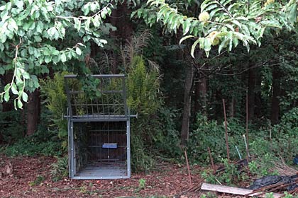 付近に猟友会が設置した捕獲用のおり