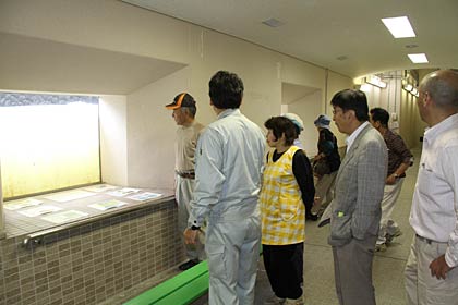魚道観察室で魚を観察