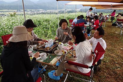 7日、三条市棚鱗のソバ畑で行われた「燕三条『畑の朝カフェ』」