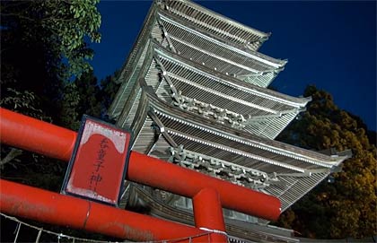 川崎さん撮影の動画から