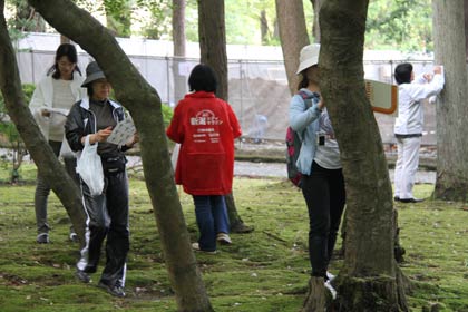 木の皮に紙を当ててクレヨンで樹皮の模様を写し取る