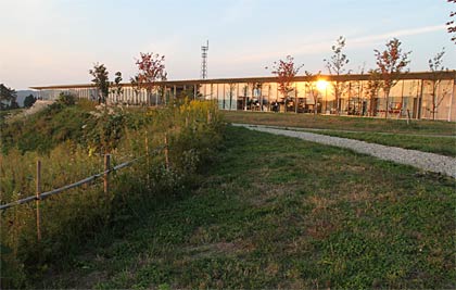 キャンプフィールドから見る本社