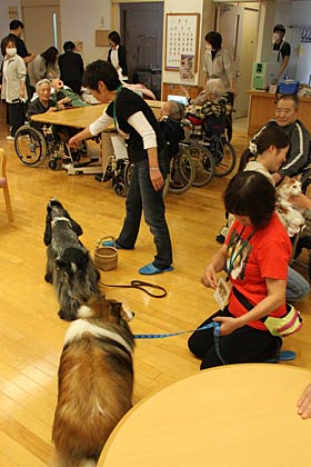 燕市「白ふじの里」で坂田動物病院がアニマルセラピーのCAPP活動で訪問