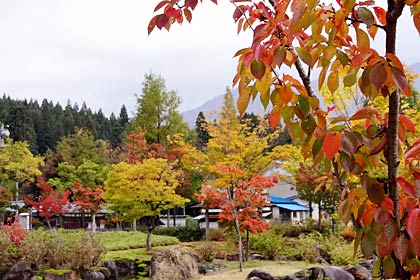 「紅葉スポット無料見学バス」を運行している「いい湯らてい」付近の紅葉