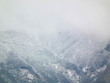 冠雪にズームイン